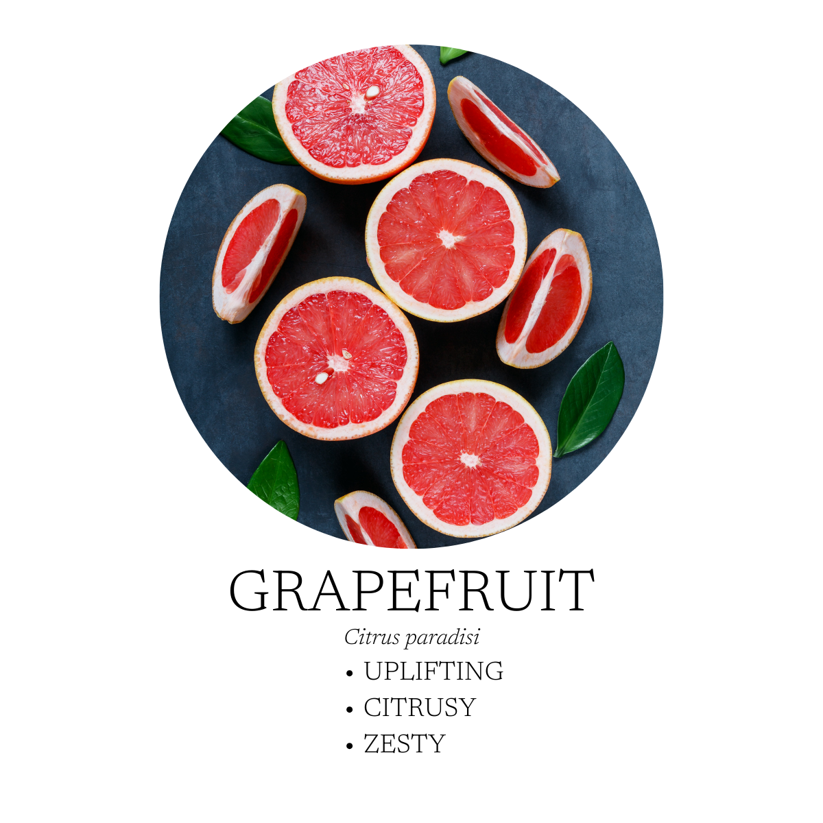 Citrus Mist Surface Cleaner