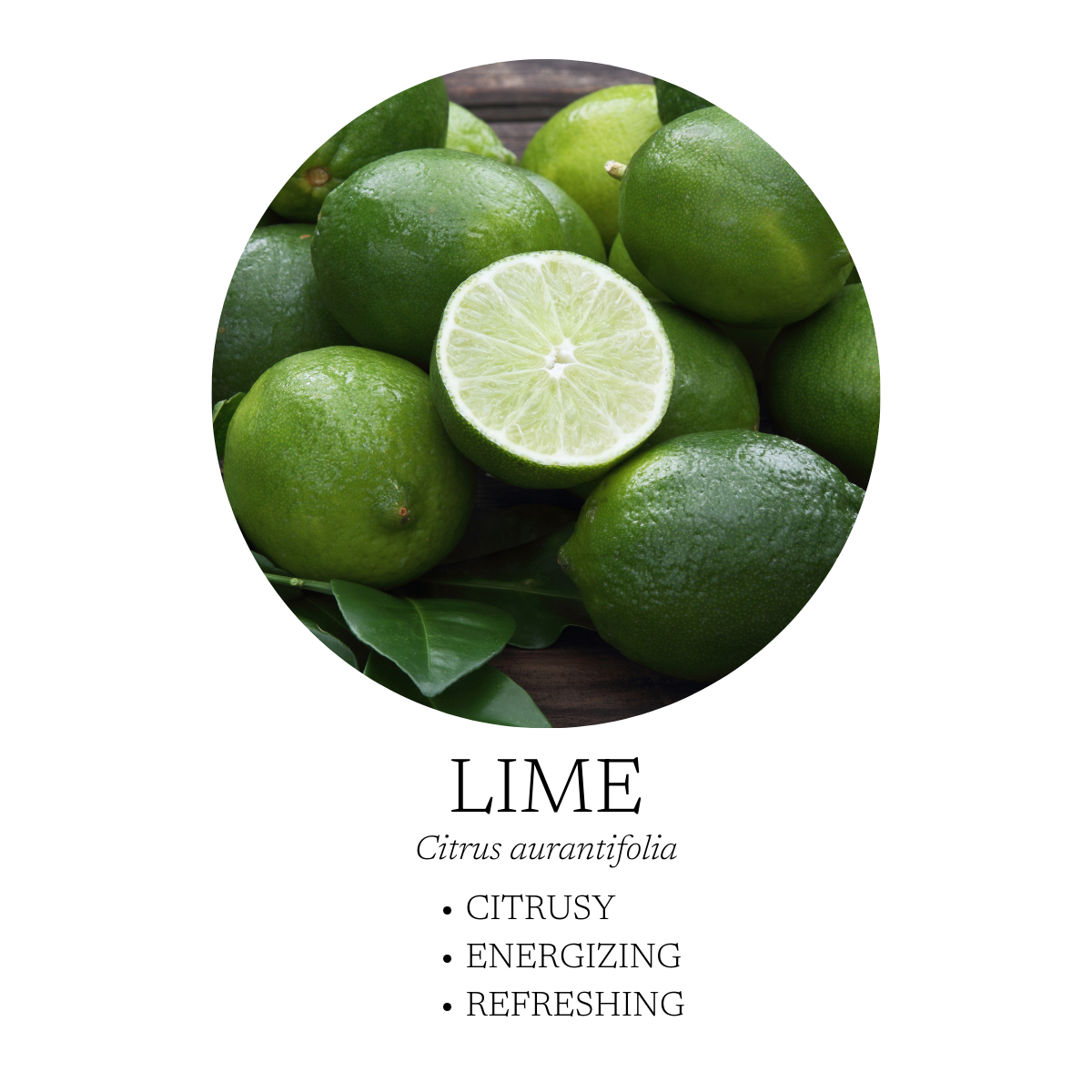 Citrus Mist Surface Cleaner