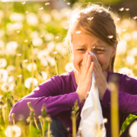 How to support seasonal allergies