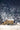 Pacific Rituals