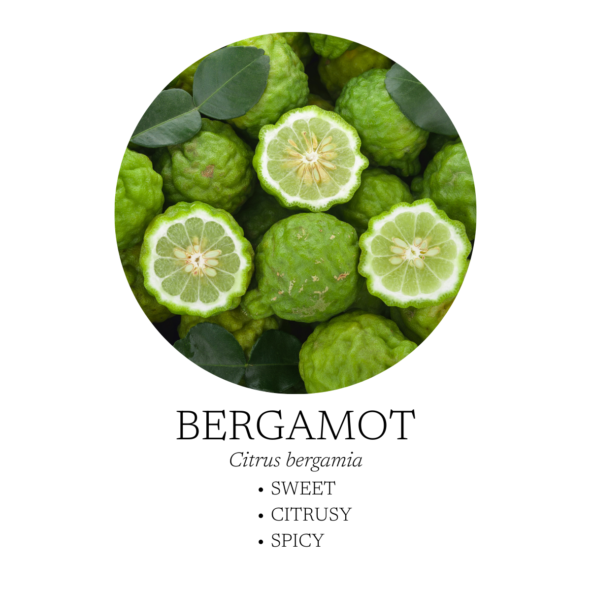 Bergamot Fruit