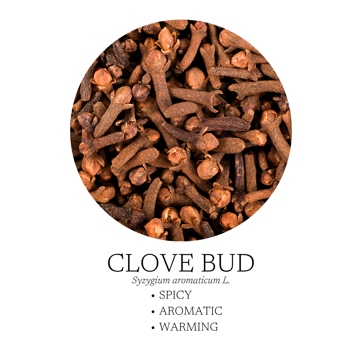 Fireside Essential Oil Blend 10 mL