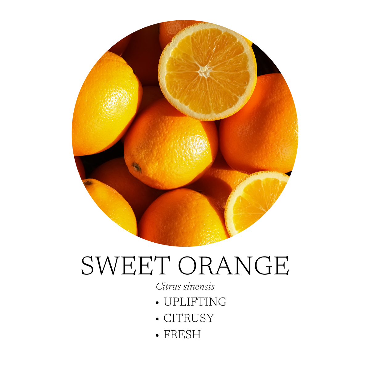 Bright orange fruit