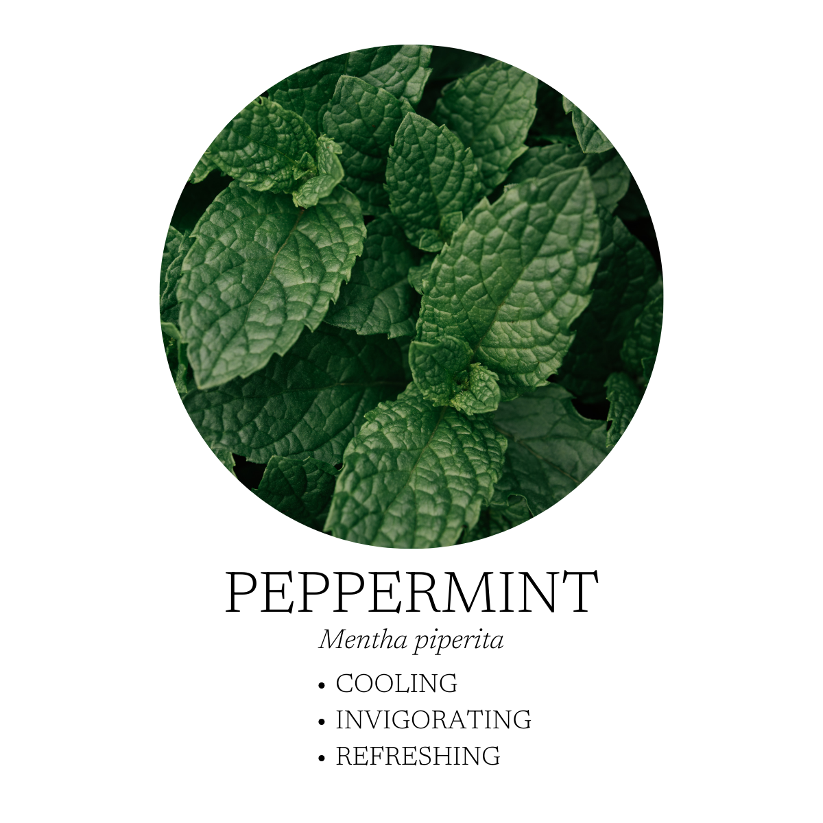 Good Morning Essential Oil Blend 10 mL